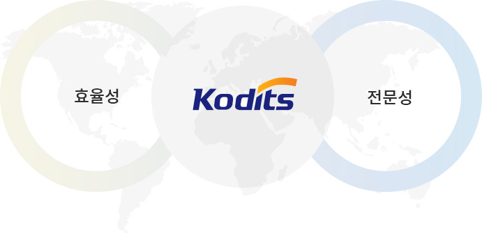 효율성 / KODITS / 전문성